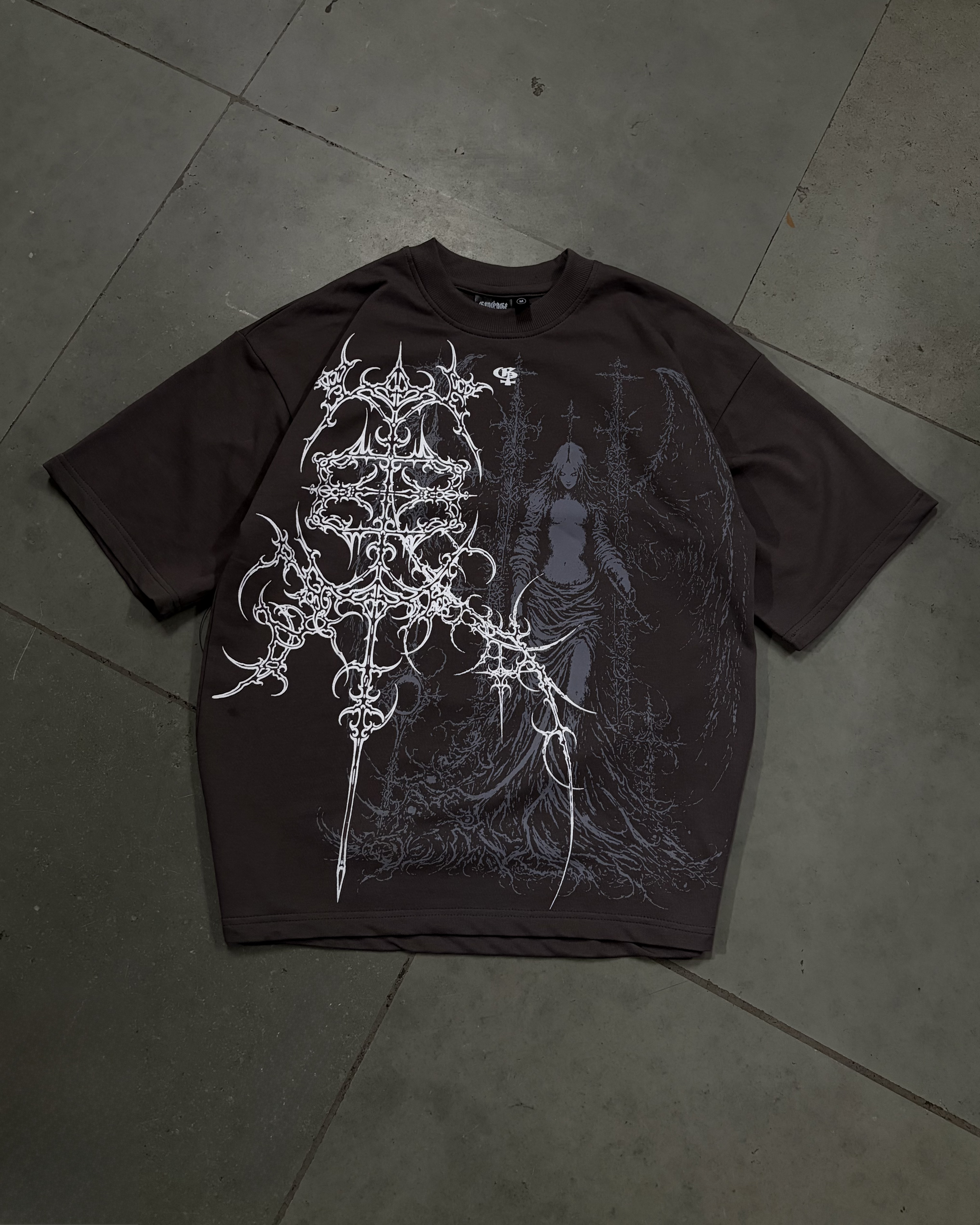 Astra Ash Brown Boxy Oversized Tshirt